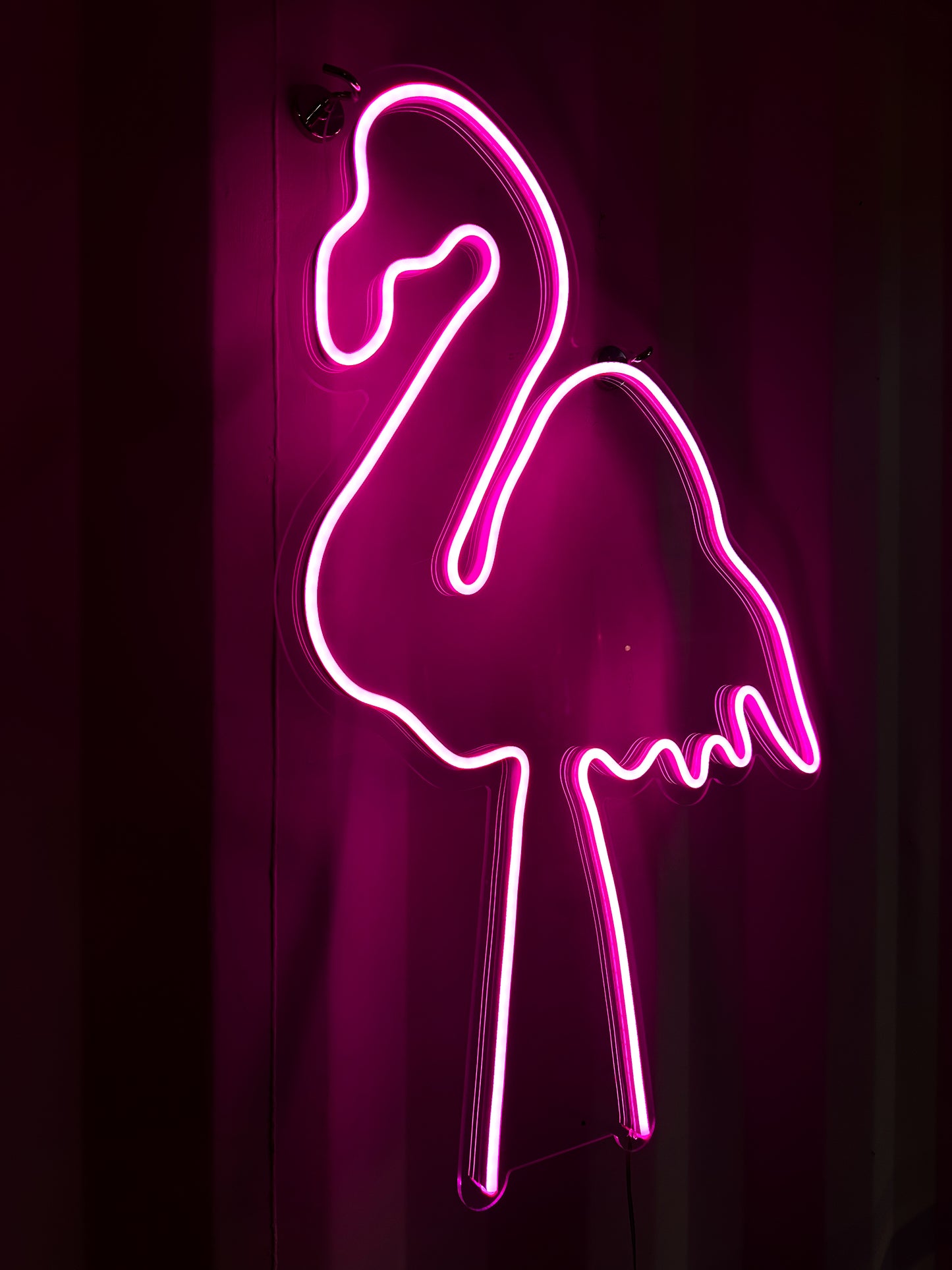 LED - Flamingo